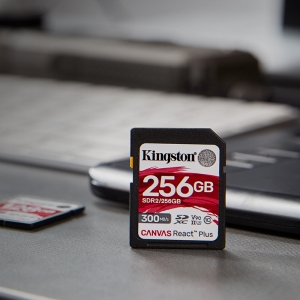 Kingston Launch Canvas React Plus SD Cards