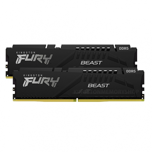 Kingston Fury Beast KF548C38BBK2-16 16GB (8GB x2) DDR5 4800MT/s Non ECC DIMM