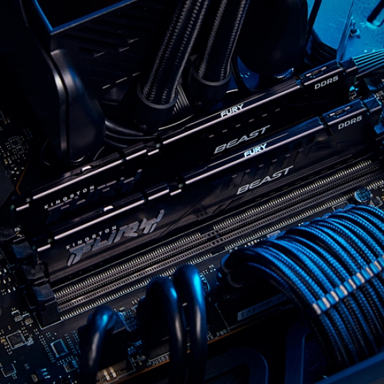 Kingston Fury Beast KF556C36BBEK2 32 32GB 16GB X2 DDR5 5600MT s Non ECC DIMM Buy Online 