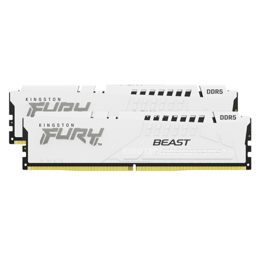 Kingston FURY Beast KF552C36BWEK2-32 32GB (16GB x2) DDR5 5200MT/s White DIMM [EXPO]